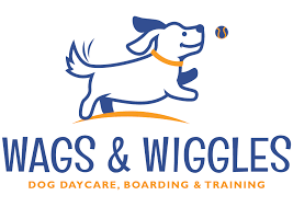 Learn how to develops your dog's hidden intelligence. Dog Board And Train Programs Wags Wiggles Dog Daycare