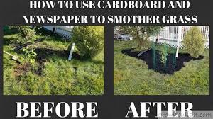 The hot water, if only contacting the grass will not hurt the other plants, although the desirable plant's roots may extend beneath the soil to where the grass is. Kill Grass Smother Weeds With Cardboard Newspaper Growit Buildit