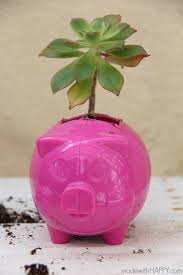 Unique Dollar Store Planters Organic glass makes it possible to see through the coin box and evaluate money saving.