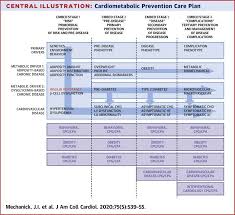 A new promising simultaneous approach for attenuating type ii diabetes mellitus induced neuropathic pain in rats: Cardiometabolic Based Chronic Disease Addressing Knowledge And Clinical Practice Gaps Jacc State Of The Art Review Sciencedirect
