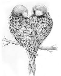 Dessin D Oiseaux En Noir Et Blanc Dessin Au Crayon Simple Graphique De Deux Tourtereaux Perches Sur U En 2020 Dessin Amoureux Dessin Oiseau Comment Dessiner Un Oiseau