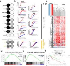 Blue ribbon awareness is a symbol of hope for many people. A Powerful Drug Combination Strategy Targeting Glutamine Addiction For The Treatment Of Human Liver Cancer Elife