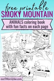 Rubber stamps kit with nocturnal animal illustrations that kids will love perfect for little hands to create scenes with owls bats toads nocturnal animals printable coloring pages nocturnal animals coloring pages free printable pictures change style nocturnal animals coloring page. 10 Free Smoky Mountain Coloring Pages East Tn Family Fun