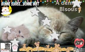 BONNE SOIREE...BONNE NUIT...A DEMAIN BISOUS - PicMix