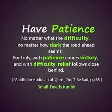 Islamic Quotes About Patience 20 Quotes Described With Essence Patience Quotes Funny Patience Quotes Life Quotes