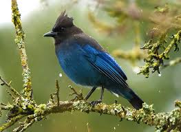 Marcus Donner Photography and Video • Seattle • Telling Stories in Pictures