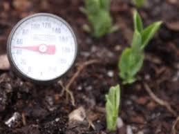 ☼ time of sunrise and sunset. Soil Temperatures And Seed Germination Growth Plant Pest Advisory