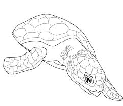 Turtles are small reptiles that spend most of their lives under water. Turtles Coloring Pages For Adults Printable Kids Colouring Pages Coloring Home