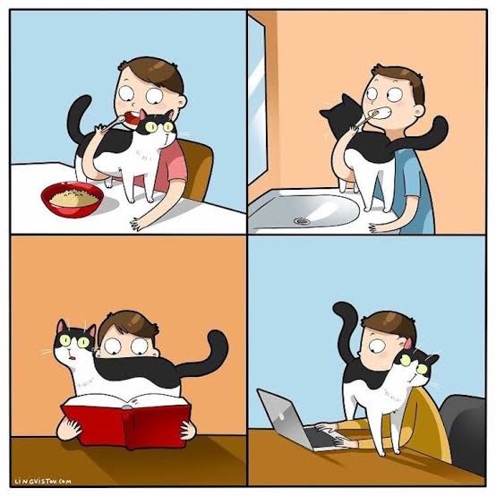 Funny Cat Comics Celebrate Why We Love Furry Our Furry Friends