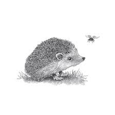 Wir führen fliesen namhafter hersteller als stilvolles einrichtungselement, die durch ihre vielfältigen. Igel Durchsichtiger Fliesen Aufkleber 15x15 Cm Draw Doodles Study Home Junkie