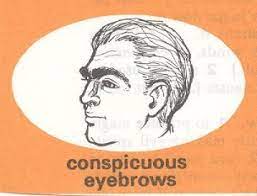 Browse the user profile and get inspired. Nemophilist Synonyms