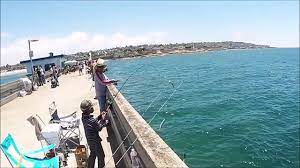 Maybe you would like to learn more about one of these? San Diego Fishing Ob Pier Bonito Run And Mack Attack 19 20 Jul 2014 Youtube