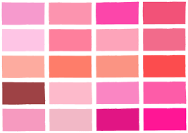 Fondo color palo de rosa. Tono De Color Rosa Sombra Color De Fondo Con Codigo Y El Nombre De Ilustraciones Ilustraciones Vectoriales Clip Art Vectorizado Libre De Derechos Image 49458696
