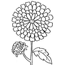 Free printable yellow chrysanthemum coloring page and download free yellow chrysanthemum coloring page along with coloring pages for other activities and coloring sheets Pin On Lesson