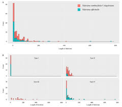 Image result for Vigna multinervis