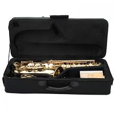 I do get that not every beginner wants to spend too much on their new hobby, in case they stop playing after a while. Top 6 Best Alto Saxophones On The Market 2021 Reviews
