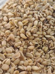 Image result for Treculia