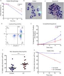 It belfast przypust msza barcelona vs espanyol goals rgb flood light twin oaks rv park toledo bend new fiat 500 4 door hatchback acm 808/ba/wh tiger head. Delayed Neutrophil Apoptosis Enhances Net Formation In Cystic Fibrosis Thorax