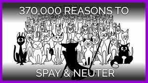 Maybe you would like to learn more about one of these? Spay And Neuter Peta