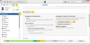 2021 Sauvegarder Et Restaurer Iphone Sur Itunes Guide D Imobie