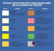 Kuning/ gold warna yang sangat ramai company guna untuk nampak lebih eksklusif. 15 Warna Air Kencing Yang Menandakan Tahap Kesihatan Tubuh Sentiasa Panas