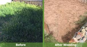 You can remove weeds with shallow roots by holding the stem of the plant and pulling it gently. Weeding And Weed Pulling Services Cedar City