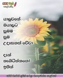 We did not find results for: 1000 Wadan 1000 à·€à¶¯à¶± Good Morning Friends Facebook