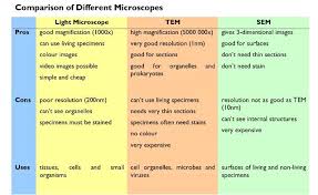 image result for microscope comparison chart microbiology