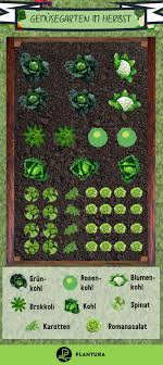 Hochbeet Im Herbst Bepflanzen Plantura Hochbeet Bepflanzen Hochbeet Garten Hochbeet