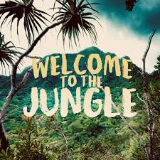 Welcome To The Jungle