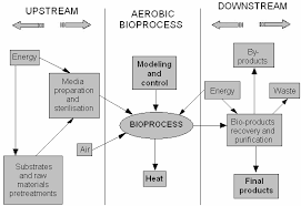 Characteristic Flow Chart For Biotechnology Centred On