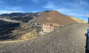 Image result for Isoglossa vulcanicola