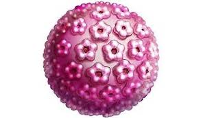 Pin En Remedios Y Tips