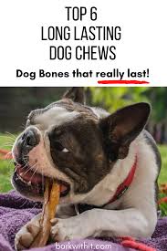Dog Chews Top 6 Long Lasting Chews For Dogs Bark With It In 2020 Dog Chews Long Lasting Dog Chew Dogs