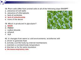 We did not find results for: Studying For The Ib Bio Midterm Ppt Download