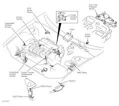 Mazda protege 2003 wiring diagram supplement pdf doent. 2002 Mazda Protege5 Serpentine Belt Routing And Timing Belt Diagrams