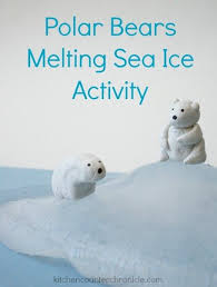 Polar Bear Activity Melting Sea Ice Polar Bears Activities Polar Bear Polar Bear Climate Change
