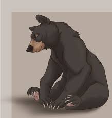 Pin On Bears Bears Bears