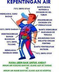 Air merupakan bahan kedua terpenting dalam bagaimanapun, sebahagian besar daripada kita tidak menitikberatkan pengambilan air yang kita boleh kekal hidup tanpa makanan untuk beberapa hari tetapi tubuh kita tidak dapat bertahan lama. Girl With 3 Dimples Kepentingan Air Dalam Kehidupan Seharian