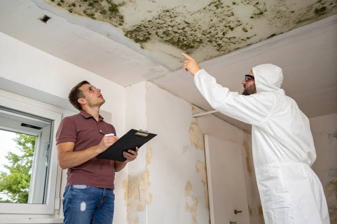 Mold Inspection and Testing Services in Florida