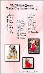 Flo is easy going and very intelligent with a funny streak. Cute Female Puppy Names For Small Dogs Cute Girl Names Cute Female Puppy Names Cute Names