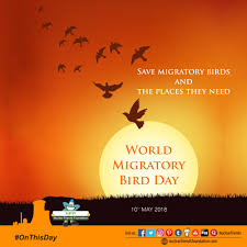 Worldmigratorybirdday Save Migratory Birds And The Places They Need Reach Us Http Nuclearfriendsfoundation C Migratory Birds Nuclear Energy Foundation