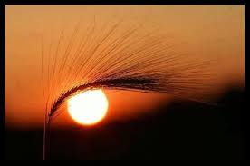 Image result for making life worthwhile poem