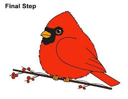 Draw A Cute Cartoon Cardinal Bird In 15 Easy To Follow Steps By How2drawanimals Cardinalbird Cartoon Drawing Cartoon Drawings Cartoon Birds Bird Drawings