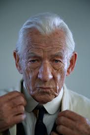 Skin Illustrator Holmes Palette