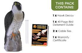 Browse alibaba.com for buying a lifelike hawk decoy to aid you in your jungle hunts. Buy Replica Falcon And Bird Of Prey Decoys Fake Plastic Hawk Bird Repeller