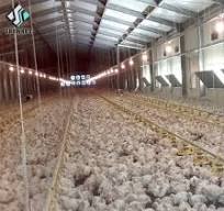 diseño de gallinero para pollos de engorde de China, lista ...