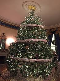 Real Christmas Trees Vs Fake Christmas Trees Which One Is Better