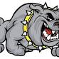 Future Bulldogs Youth Soccer Camp