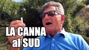 QUANTE NE HAI INDOVINATO? #shorts #brawlstars